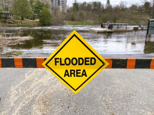 Flooded Area Photo in Bracebridge Bay