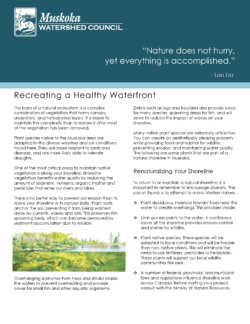 creating a healthy waterfront