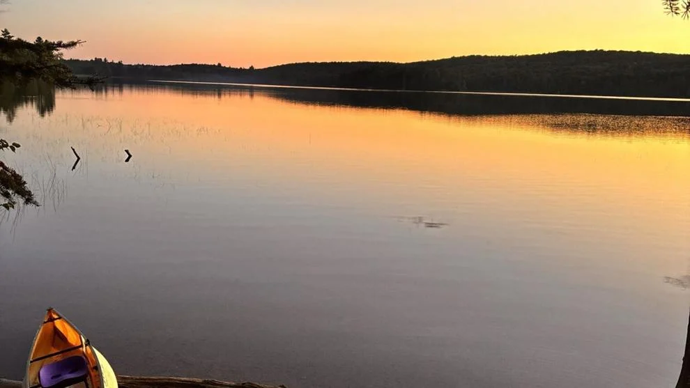 Jared Jylhä pulled his canoe ashore to spend time collecting the dividends provided by Algonquin Park.