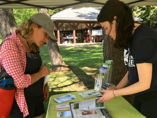 Invasive species display at the Bala farmers market