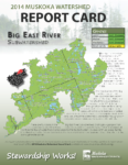 Big East River Subwatershed Report