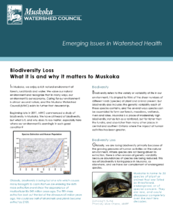 Biodiversity Loss: What it is and why it matters to Muskoka