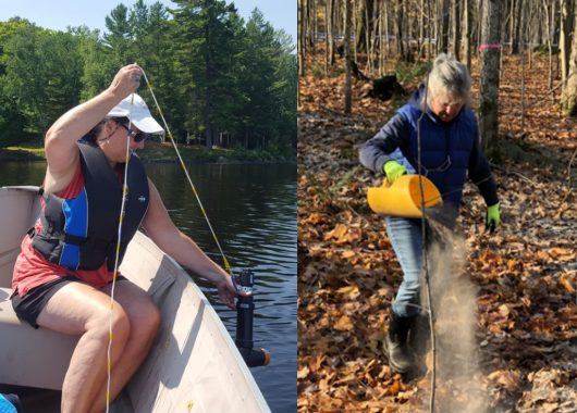 Citizen scientists collecting data in Muskoka