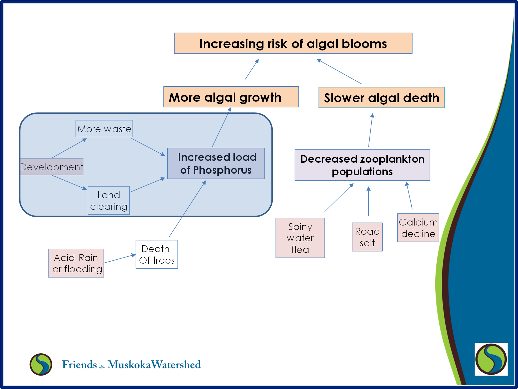 A slide showing how many stressors may act together to cause algae blooms