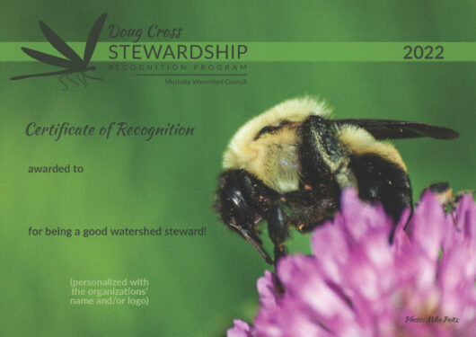 Example Certificate of Recognition