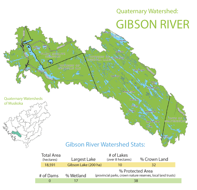 Gibson River Subwatershed Info