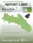 Gibson River Subwatershed Report