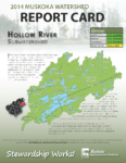 Hollow River Subwatershed Report