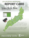 Lower Black River Subwatershed Report