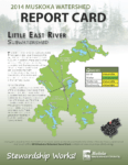 Little East River Subwatershed Report