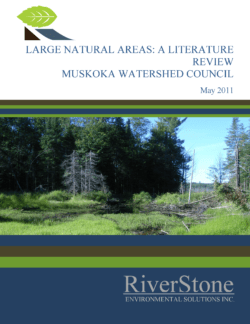 Large Natural Areas – A Literature Review