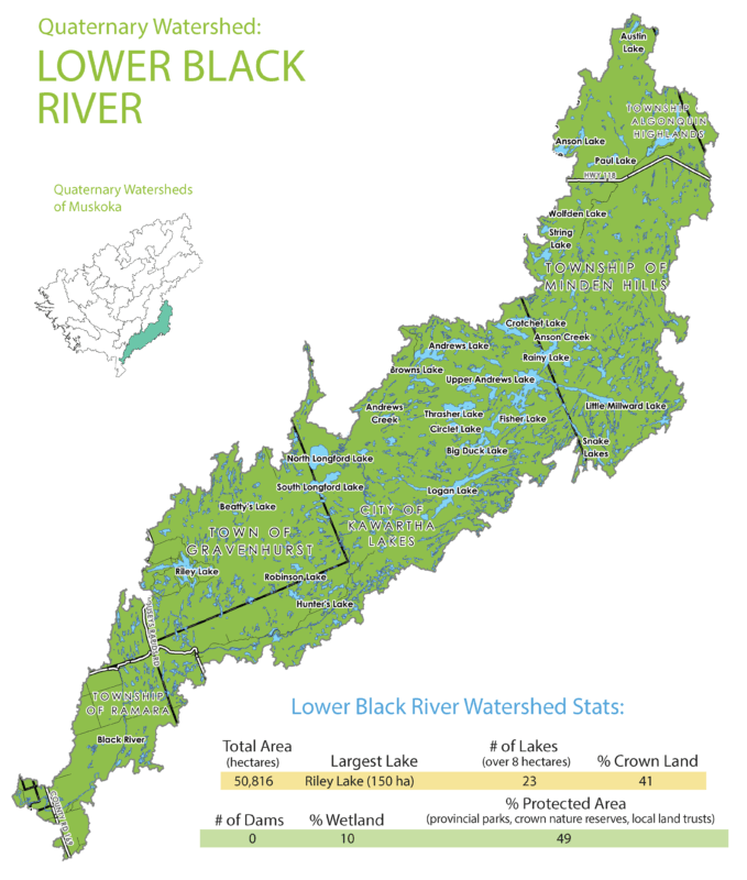 Lower Black River Subwatershed Info