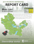 Mary Lake Subwatershed Report