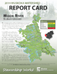 Moon River Subwatershed Report