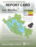 Lake Muskoka Subwatershed Report