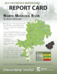 North Muskoka River Subwatershed Report