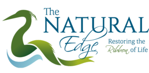 The Natural Edge Logo