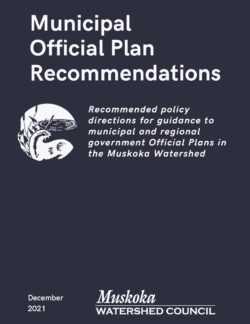 Municipal Official Plan Recommendations