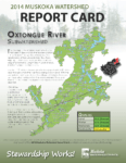 Oxtongue River Subwatershed Report