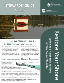 Restore Your Shore: Softening a Hardened Shoreline in Parry Sound-Muskoka