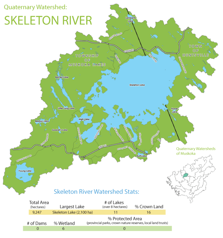 Skeleton River Subwatershed Info