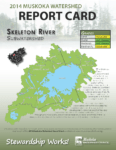 Skeleton River Subwatershed Report