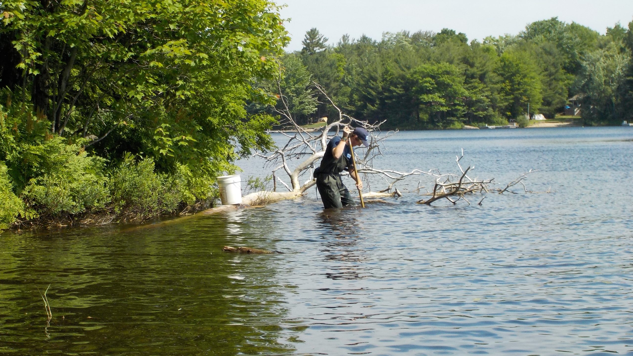 A Biomonitoring Technician from the District of Muskoka collects a benthic sample on Stewart Lake