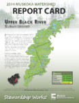 Upper Black River Subwatershed Report