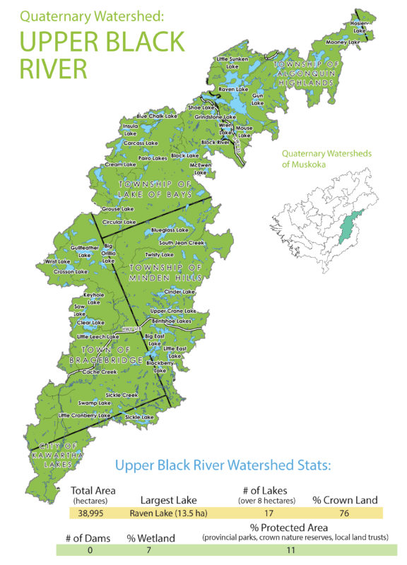 Upper Black River Subwatershed Info