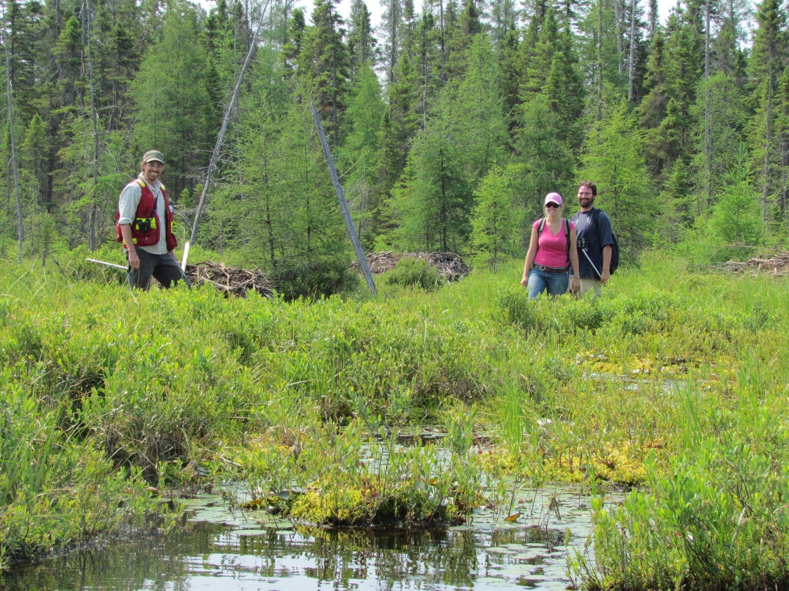 Photo of people in a wetland taking the OWES course.