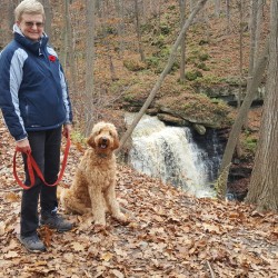 Joan Frain, Director Joan Frain, Director