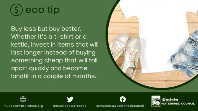 Buy less but buy better. Whether it's a t-shirt or a kettle, invest in items that will last longer instead of buying something cheap that will fall apart quickly and become landfill in a couple of months.