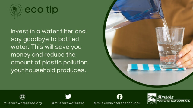 Invest in a water filter and say goodbye to bottled water. This will save you money and reduce the amount of plastic pollution your household produces.