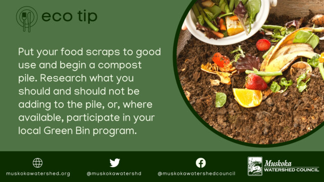 Put your food scraps to good use and begin a compost pile. Research what you should and should not be adding to the pile, or, where available, participate in your local Green Bin program.