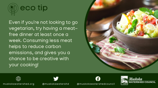 Even if you're not looking to go vegetarian, try having a meat-free dinner at least once a week. Consuming less meat helps to reduce carbon emissions, and gives you a chance to be creative with your cooking!