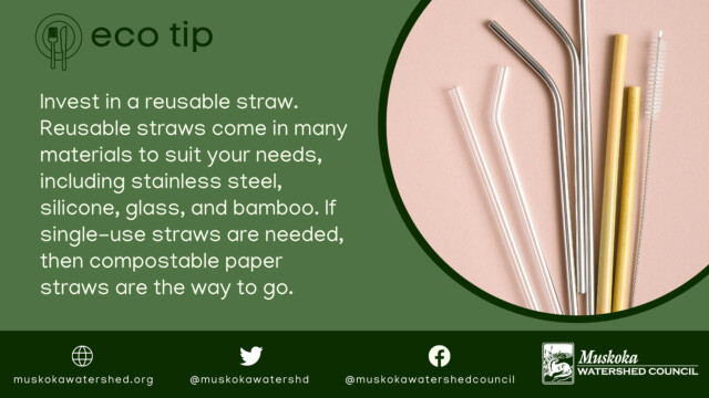 Invest in a reusable straw. Reusable straws come in many materials to suit your needs, including stainless steel, silicone, glass, and bamboo. If single-use straws are needed, then compostable paper straws are the way to go.