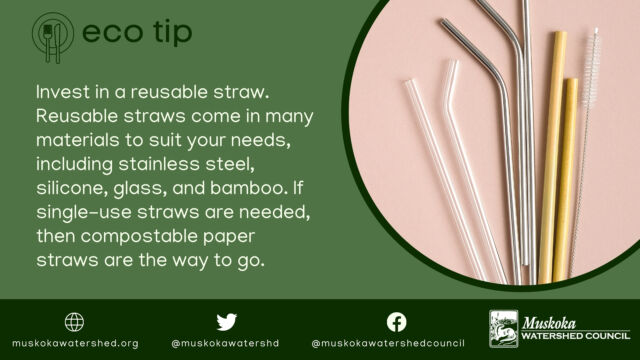 Invest in a reusable straw. Reusable straws come in many materials to suit your needs, including stainless steel, silicone, glass, and bamboo. If single-use straws are needed, then compostable paper straws are the way to go.