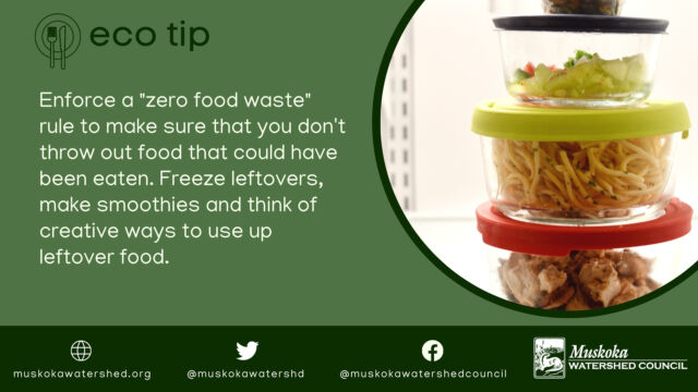 Enforce a "zero food waste" rule to make sure that you don't throw out food that could have been eaten. Freeze leftovers, make smoothies and think of creative ways to use up leftover food.