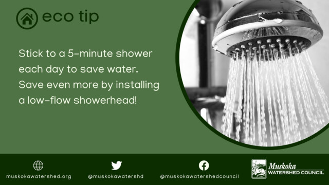 Stick to a 5-minute shower each day to save water. Save even more by installing a low-flow showerhead!