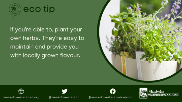 If you're able to, plant your own herbs. They're easy to maintain and provide you with locally grown flavour.