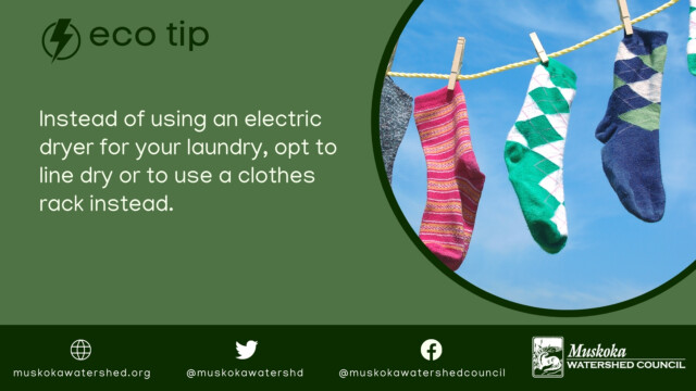 Instead of using an electric dryer for your laundry, opt to line dry or to use a clothes rack instead.