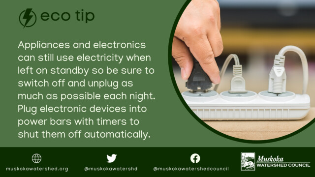 Appliances and electronics can still use electricity when left on standby so be sure to switch off and unplug as much as possible each night. Plug electronic devices into power bars with timers to shut them off automatically.