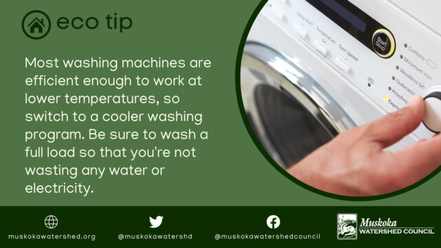 Most washing machines are efficient enough to work at lower temperatures, so switch to a cooler washing program. Be sure to wash a full load so that you're not wasting any water or electricity.