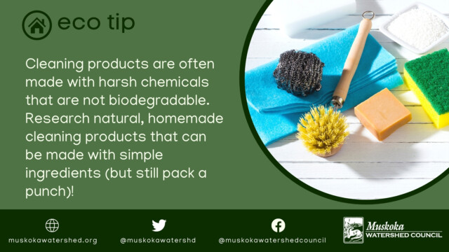 Cleaning products are often made with harsh chemicals that are not biodegradable. Research natural, homemade cleaning products that can be made with simple ingredients (but still pack a punch)!
