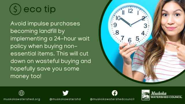 Avoid impulse purchases becoming landfill by implementing a 24-hour wait policy when buying non-essential items. This will cut down on wasteful buying and hopefully save you some money too!