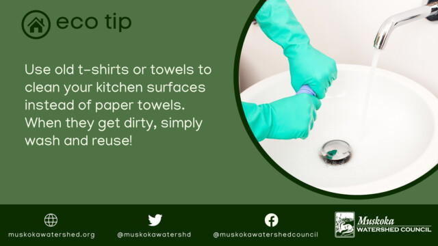 Use old t-shirts or towels to clean your kitchen surfaces instead of paper towels. When they get dirty, simply wash and reuse!