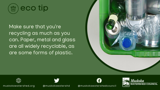 Make sure that you're recycling as much as you can. Paper, metal and glass are all widely recyclable, as are some forms of plastic.
