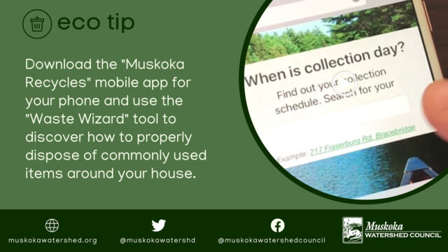 Download the "Muskoka Recycles" mobile app for your phone and use the "Waste Wizard" tool to discover how to properly dispose of commonly used items around your house.