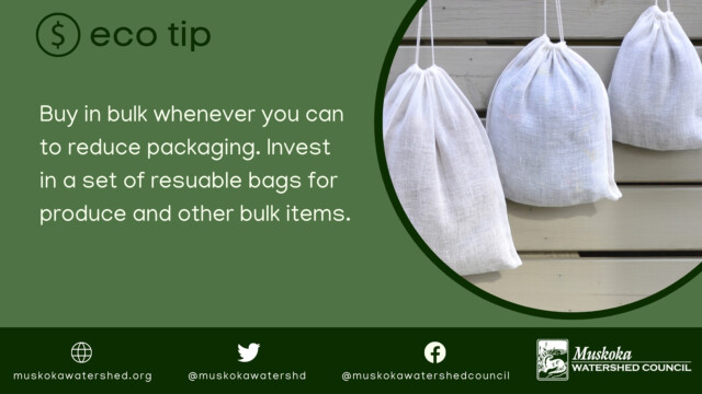 Buy in bulk whenever you can to reduce packaging. Invest in a set of resuable bags for produce and other bulk items.