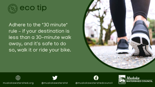 Adhere to the "30 minute" rule – if your destination is less than a 30-minute walk away, and it's safe to do so, walk it or ride your bike.